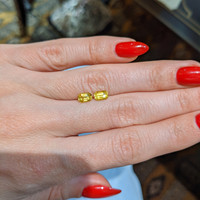 1.41&nbsp;Ct.Tw.Total Carat Weight Yellow Sapphire Pair from Ceylon (Sri Lanka) Life Style
