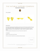 0.56 Ct.Tw.Total Carat Weight Yellow Sapphire Pair from Ceylon (Sri Lanka) Appraisal
