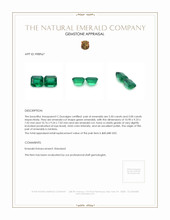 10.50 Ct.Tw.Total Carat Weight Emerald Pair from Zambia Appraisal