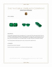 10.49 Ct.Tw.Total Carat Weight Emerald Pair from Zambia Appraisal