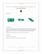 9.79 Ct.Tw.Total Carat Weight Emerald Pair from Zambia Appraisal