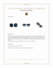 0.87 Ct.Tw.Total Carat Weight Greenish Blue Sapphire Pair from Ceylon (Sri Lanka) Appraisal