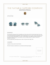 0.97&nbsp;Ct.Tw.Total Carat Weight Greenish Blue Sapphire Pair from Montana Appraisal