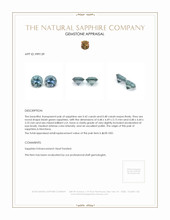 0.90 Ct.Tw.Total Carat Weight Sapphire Pair from Montana Appraisal