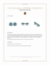 0.90 Ct.Tw.Total Carat Weight Bluish Green Sapphire Pair from Montana Appraisal