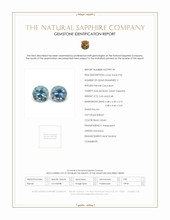 0.90 Ct.Tw.Total Carat Weight Sapphire Pair from Montana Scan Report