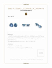 1.23 Ct.Tw.Total Carat Weight Sapphire Pair from Montana Appraisal