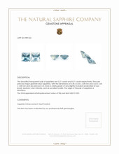 0.54 Ct.Tw.Total Carat Weight Greenish Blue Sapphire Pair from Montana Appraisal