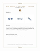 1.33 Ct.Tw.Total Carat Weight Blue Sapphire Pair from Montana Appraisal