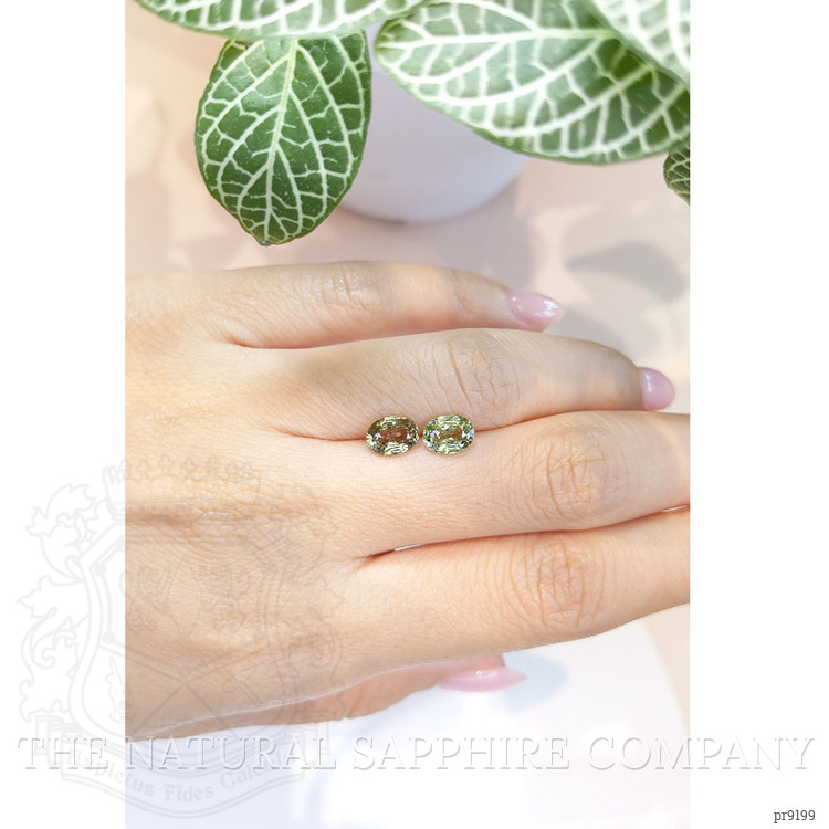 2.53 Ct.Tw. Green Sapphire Pair from Ceylon (Sri Lanka)