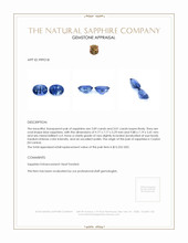 6.10&nbsp;Ct.Tw.Total Carat Weight Blue Sapphire Pair from Ceylon (Sri Lanka) Appraisal