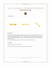 2.93&nbsp;Ct.Tw.Total Carat Weight Yellow Sapphire Pair from Ceylon (Sri Lanka) Appraisal