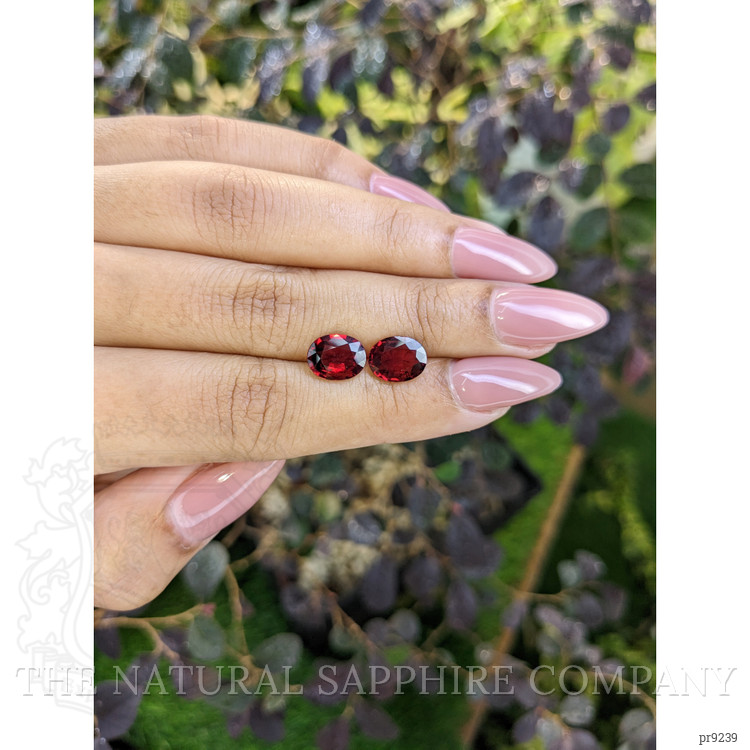 4.06 Ct.Tw. Garnet Pair from Ceylon (Sri Lanka)