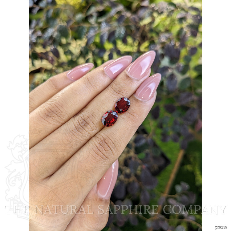 4.06 Ct.Tw. Garnet Pair from Ceylon (Sri Lanka)