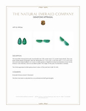 4.12 Ct.Tw.Total Carat Weight Emerald Pair from Zambia Appraisal