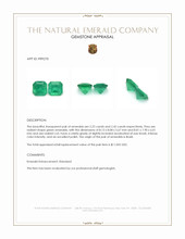 4.64 Ct.Tw.Total Carat Weight Emerald Pair from Brazil Appraisal