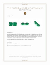 2.91 Ct.Tw.Total Carat Weight Emerald Pair from Brazil Appraisal
