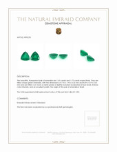 3.16 Ct.Tw.Total Carat Weight Emerald Pair from Brazil Appraisal