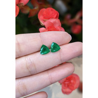 3.16 Ct.Tw.Total Carat Weight Emerald Pair from Brazil Life Style