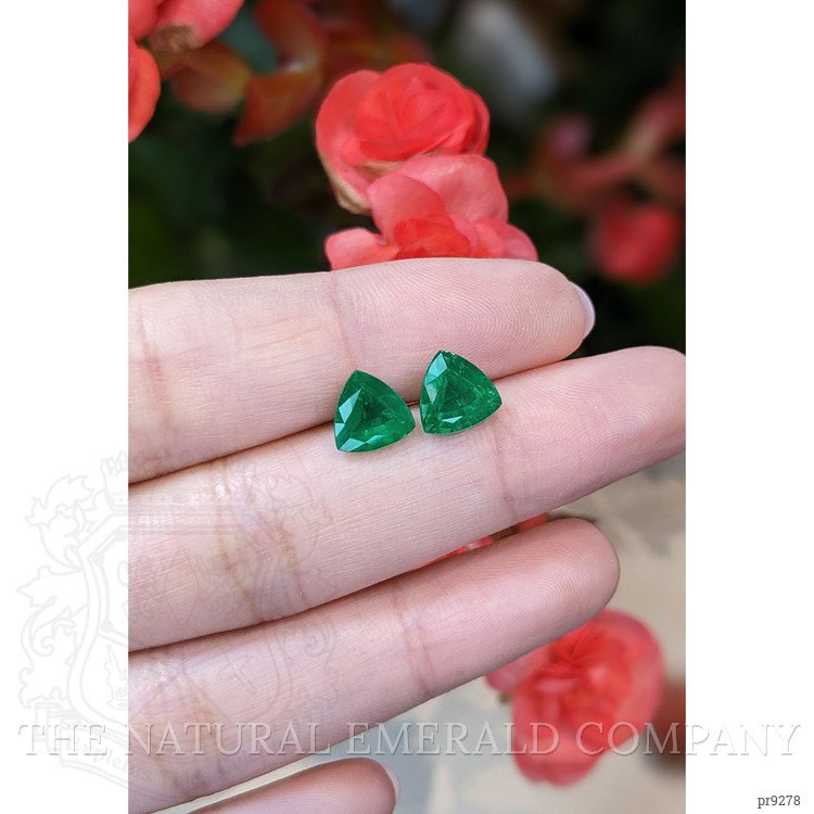 3.16 Ct.Tw. Emerald Pair from Brazil