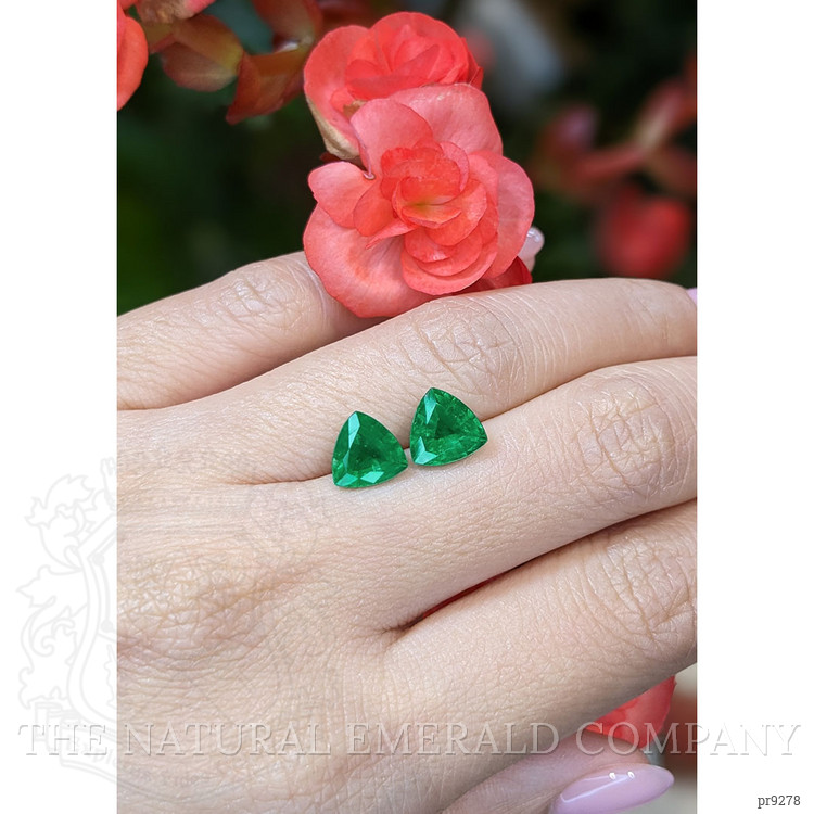 3.16 Ct.Tw. Emerald Pair from Brazil