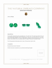 2.74 Ct.Tw.Total Carat Weight Emerald Pair from Brazil Appraisal