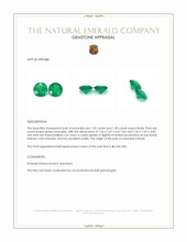 2.74 Ct.Tw.Total Carat Weight Emerald Pair from Brazil Appraisal