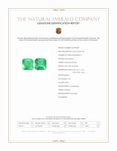 Jewelry Scan Report