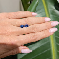 1.68&nbsp;Ct.Tw.Total Carat Weight Blue Sapphire Pair from Ceylon (Sri Lanka) Life Style