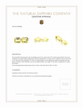 10.96 Ct.Tw.Total Carat Weight Yellow Sapphire Pair from Ceylon (Sri Lanka) Appraisal