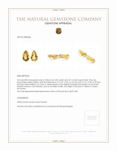 9.73 Ct.Tw.Total Carat Weight Citrine Pair from Ceylon (Sri Lanka) Appraisal