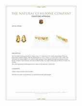 11.09 Ct.Tw.Total Carat Weight Yellow Citrine Pair from Ceylon (Sri Lanka) Appraisal