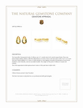 8.54 Ct.Tw.Total Carat Weight Yellow Citrine Pair from Ceylon (Sri Lanka) Appraisal