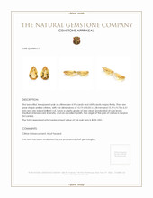 9.86 Ct.Tw.Total Carat Weight Citrine Pair from Ceylon (Sri Lanka) Appraisal