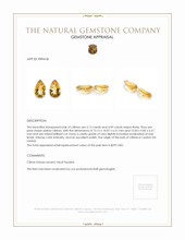 9.72 Ct.Tw.Total Carat Weight Citrine Pair from Ceylon (Sri Lanka) Appraisal