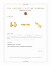 9.17 Ct.Tw.Total Carat Weight Yellow Citrine Pair from Ceylon (Sri Lanka) Appraisal