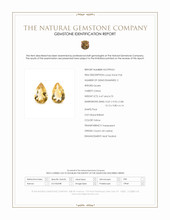 9.17 Ct.Tw.Total Carat Weight Citrine Pair from Ceylon (Sri Lanka) Scan Report