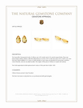 8.69 Ct.Tw.Total Carat Weight Yellow Citrine Pair from Ceylon (Sri Lanka) Appraisal