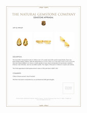 9.57 Ct.Tw.Total Carat Weight Citrine Pair from Ceylon (Sri Lanka) Appraisal