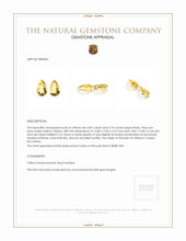 9.59 Ct.Tw.Total Carat Weight Yellow Citrine Pair from Ceylon (Sri Lanka) Appraisal