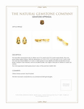 10.07 Ct.Tw.Total Carat Weight Yellow Citrine Pair from Ceylon (Sri Lanka) Appraisal
