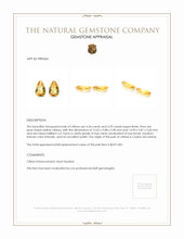 8.63 Ct.Tw.Total Carat Weight Yellow Citrine Pair from Ceylon (Sri Lanka) Appraisal