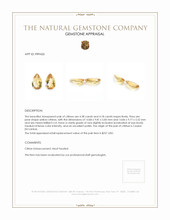 8.56&nbsp;Ct.Tw.Total Carat Weight Citrine Pair from Ceylon (Sri Lanka) Appraisal