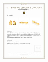 8.58 Ct.Tw.Total Carat Weight Yellow Citrine Pair from Ceylon (Sri Lanka) Appraisal