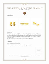 10.10 Ct.Tw.Total Carat Weight Citrine Pair from Ceylon (Sri Lanka) Appraisal