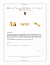9.06 Ct.Tw.Total Carat Weight Citrine Pair from Ceylon (Sri Lanka) Appraisal
