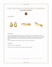 10.12 Ct.Tw.Total Carat Weight Yellow Citrine Pair from Ceylon (Sri Lanka) Appraisal