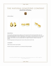 9.07 Ct.Tw.Total Carat Weight Citrine Pair from Ceylon (Sri Lanka) Appraisal