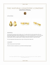 8.88 Ct.Tw.Total Carat Weight Yellow Citrine Pair from Ceylon (Sri Lanka) Appraisal
