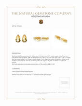 9.21 Ct.Tw.Total Carat Weight Citrine Pair from Ceylon (Sri Lanka) Appraisal